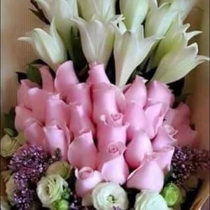 Meet your Posher, Hoda